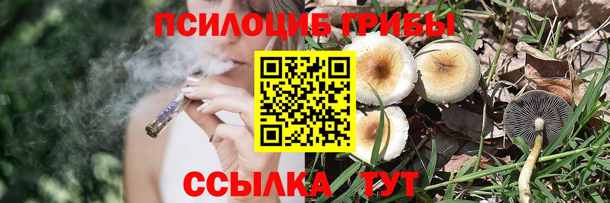 Орёл  Галлюциногенные грибы прущие грибы  Псилоцибиновые грибы мухоморы  Вход с VPN 